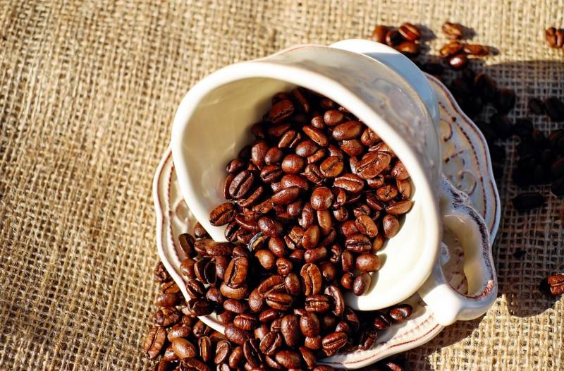 meilleur distributeur automatique de café en entreprise 2025