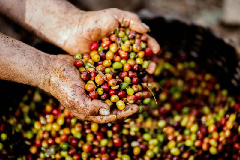 Comment améliorer le bien-être des salariés dans une entreprise de Pessac grâce à un coffee corner?