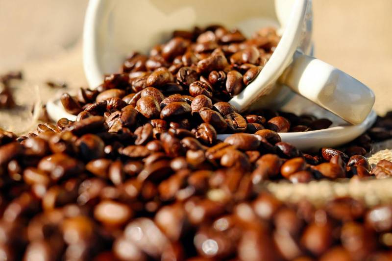 A qui faire appel pour installer un espace dédié au café dans mon entreprise de Talence, proche Bordeaux? 